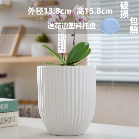 M3-3 قوارة فخار